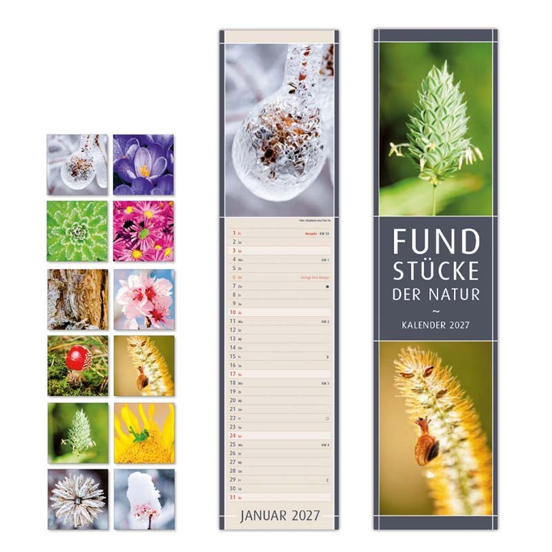 Streifenkalender "Fundstücke der Natur"