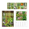 Kalender "Botanica Heilpflanzen"