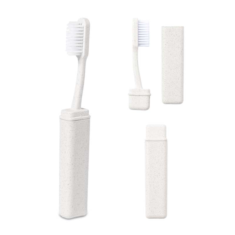 Zahnbürste Reise
